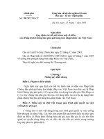 Nghi dinh 90 huong dan phap lenh chong ban pha gia