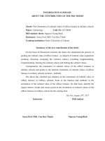 Tinh moi cua luan an  Tieng Anh