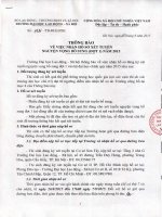 uploads file CV%20di%20so%201131.PDF CV di so 1131