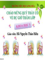 Bài 15. Phòng bệnh viêm gan A