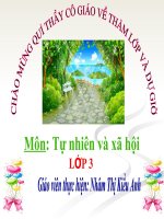 Bài 19. Các thế hệ trong một gia đình