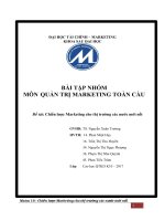 QTMTCau   chien luoc marketing cho thi truong cac nuoc moi noi