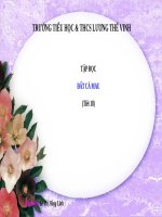 Tuần 9. Đất Cà Mau