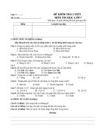 Đề kiểm tra 1 tiết Tin học 7 lý thuyết HK 1