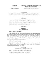 2010 Nghi dinh 11CP ve Quan ly va bao ve ket cau ha tang giao thong duong bo