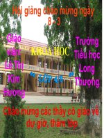 Bài 49. Ánh sáng và việc bảo vệ đôi mắt