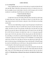 Giải pháp nâng cao hiệu quả trong công tác chủ nhiệm lớp ở địa bàn vùng ven 