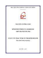 Kênh phân phối của Mobifone trên địa bàn Hà Nội (LV thạc sĩ)