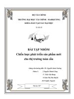 QTMTCau   chien luoc phat trien san pham moi cho thi truong toan cau