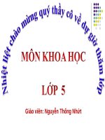 Bài 52. Sự sinh sản của thực vật có hoa