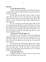 Nâng cao chất lượng cán bộ công chức tại Cục Thi hành án dân sự thành phố Hà Nội (tt)