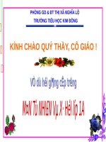 Bài 9. Hoạt động và nghỉ ngơi