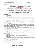 Giáo án sinh nâng cao 11 