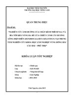 Nghiên cứu ảnh hưởng của chất kích thích NAA và IBA tới khả năng ra rễ của chiết cành cây bương lông điện biên tại trung tâm nghiên cứu khoa học lâm nghiệp vùng đông bắc, cầu hai – phú t 