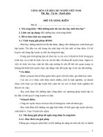 skkn bồi dưỡng môn đá cầu cho học sinh tiểu học 