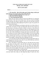 skkn một số biện pháp quản lí nhằm nâng cao hiệu quả buổi sinh hoạt của tổ chuyên môn trong trường tiểu học 