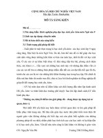 skkn kinh nghiệm phụ đạo học sinh yếu  kém môn ngữ văn 9  