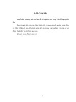 Những biến đổi trong văn hóa vật chất của người Mường ở  xã Cẩm Châu huyện Cẩm Thủy  Tỉnh Thanh Hóa trong xu thế hiện nay