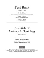 Essentials of anatomy and physiology 6th edition martini test bank 