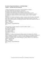 Essentials of organizational behavior 11th edition robbins test bank 