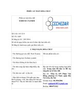 Phiếu an toàn hóa chất | Trung tâm Dữ liệu và Hỗ trợ ứng phó sự cố hóa chất Msds Sodium Cyanide