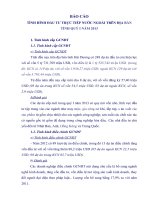 Bao cao FDI quy I 2013