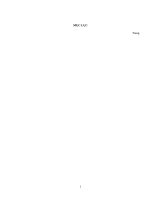 Nghiên cứu chiến lược xúc tiến sản phẩm tại các khách sạn bốn sao ở thành phố Hải Phòng