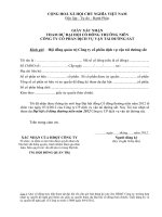 Mau giay uy quyen va xac nhan tham du Dai hoi co dong