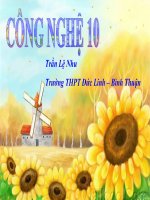 Bài 19. Ảnh hưởng của thuốc hóa học bảo vệ thực vật đến quần thể sinh vật và môi trường