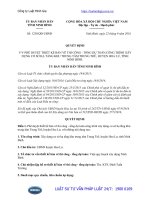 Quyết định 1238 QĐ-UBND năm 2016 phê duyệt thiết kế bản vẽ thi công - tổng dự toán công trình xây dựng cơ sở hạ tầng khu trung tâm Trung Trữ, huyện Hoa Lư, tỉnh Ninh Bình