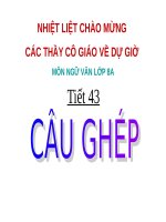 Bài 11. Câu ghép