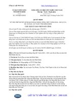 Quyết định 3438 QĐ-UBND năm 2016 phê duyệt Kế hoạch hoạt động tổng thể 5 năm (2016-2021) của Dự án Rau an toàn tỉnh Bình Định