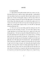 Khảo sát trường ngữ nghĩa trong tác phẩm “Mảnh đất lắm người nhiều ma” của Nguyễn Khắc Trường