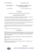 Quyết định 3993 QĐ-BCT năm 2016 về điều tra áp dụng biện pháp chống bán phá giá do Bộ trưởng Bộ Công thương ban hành