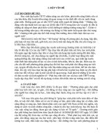 skkn phát huy tính tích cực của học sinh THPT trong luyện tập chạy bền 