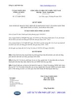 Quyết định 1271 QĐ-UBND năm 2016 Kế hoạch thực hiện đề án Kiểm soát mất cân bằng giới tính khi sinh tỉnh Lai Châu, giai đoạn 2016-2020