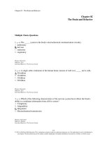 Experience psychology 2nd edition king test bank 