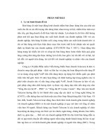 Khóa luận tốt nghiệp  Giải pháp hoàn thiện hoạt động bán hàng tại Công ty Cổ phần Phần mềm Viễn thông Miền Nam đối với các dịch vụ tổng đài IP