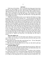 Luận án tiến sĩ nghiên cứu tổng hợp và ổn định phân tán chất lỏng từ fe3o4 (tt) 