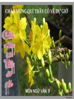 Bài 9. Chương trình địa phương (phần Văn)