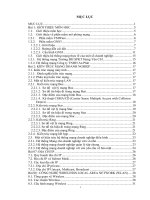 Đề cương thiết kế mạng doanh nghiệp 