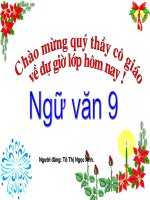 Bài 9. Tổng kết về từ vựng (Từ đơn, từ phức,... từ nhiều nghĩa; Từ đồng âm,... trường từ vựng)