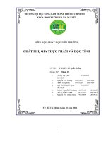 Báo cáo: Chất phụ gia thực phẩm và độc tính