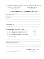 Mau Bao cao tien do thưc tap