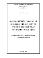 Quan hệ từ biểu thị quan hệ điều kiện – hệ quả nhìn từ các bình diện ngữ pháp, ngữ nghĩa và ngữ dụng (2016) 