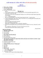 15 ĐỀ THI HỌC KỲ 1 TIẾNG VIỆT LỚP 2 CÓ LỜI GIẢI CHI TIẾT