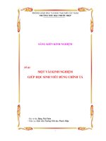 skkn một vài kinh nghiệm giúp học sinh viết đúng chính tả 