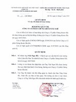 Quyet dinh bo nhiem Ke toan truong