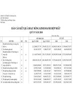 Quyet toan hop nhat quy 4 nam 2010 Ket qua kinh doanh