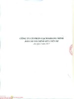 Báo cáo tài chính Quý 2 năm 2017